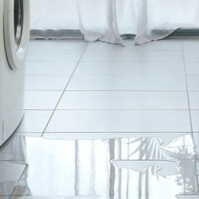 Appliance Leak Cleanup in Homer, GA