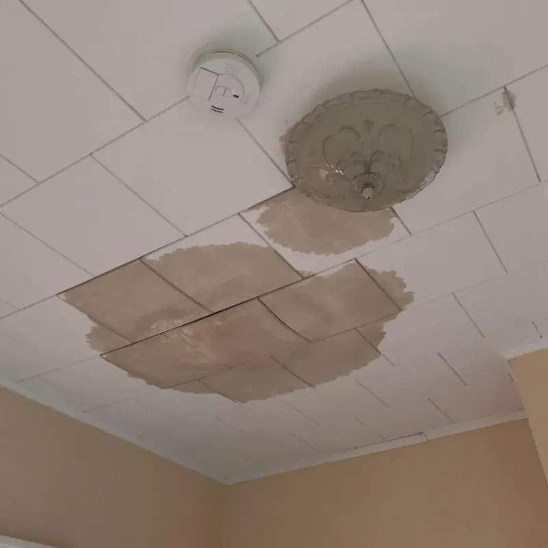 Ceiling Water Damage Repair in Homer, GA